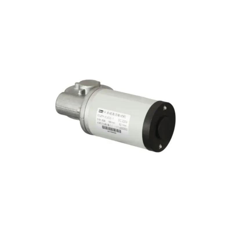 63ZY permanent magnet DC motor