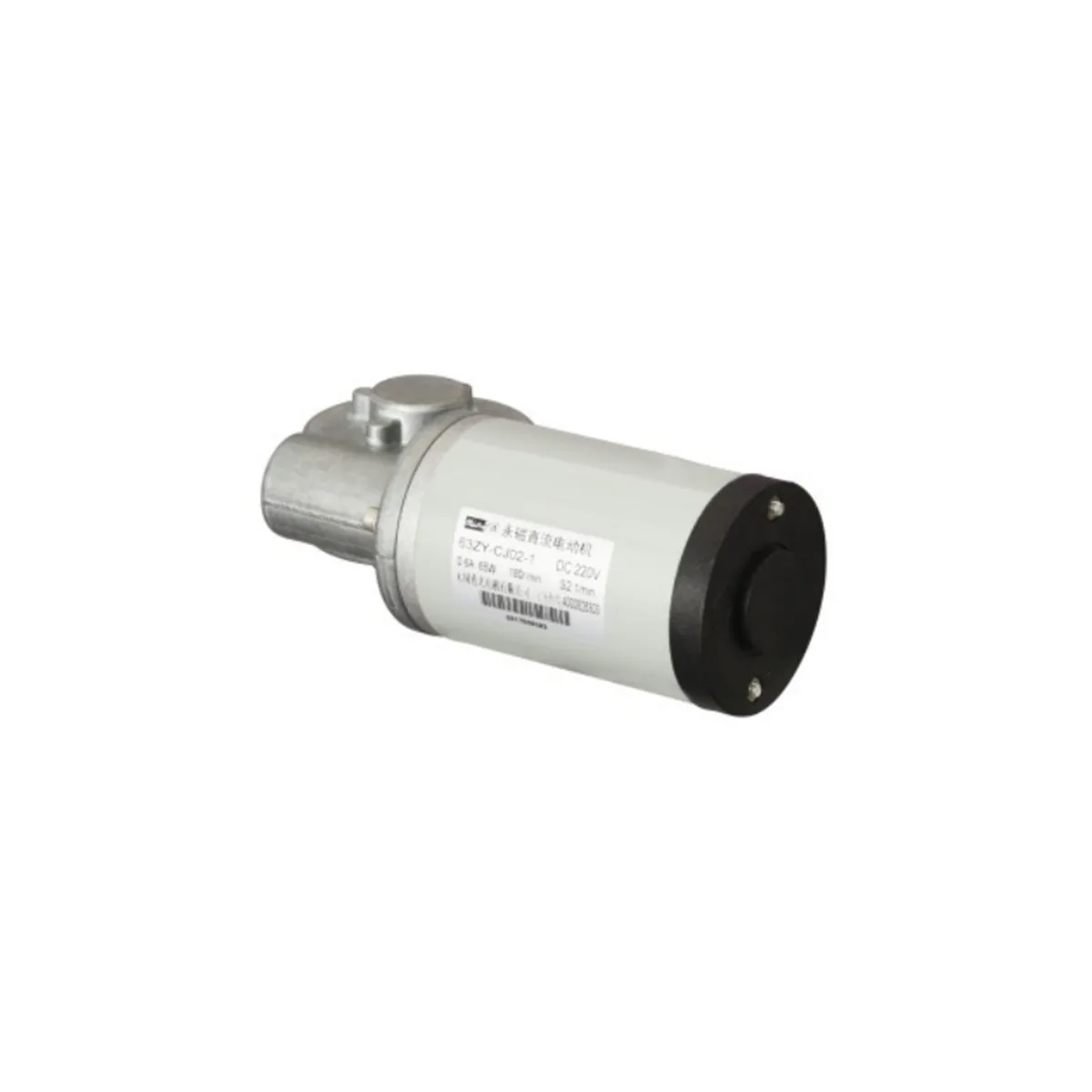 63ZY permanent magnet DC motor
