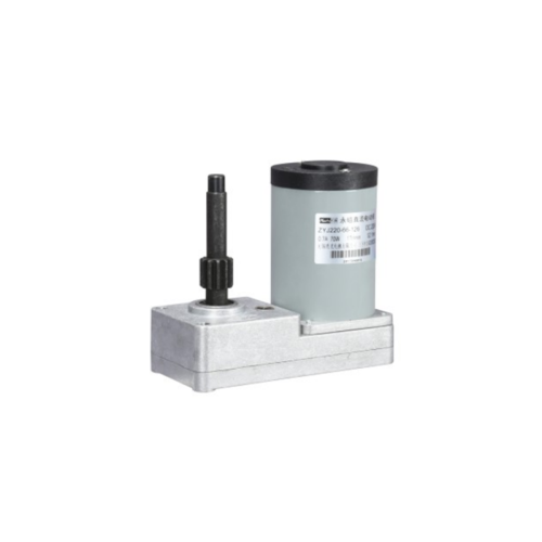 59ZY-CJ02 permanent magnet DC motor