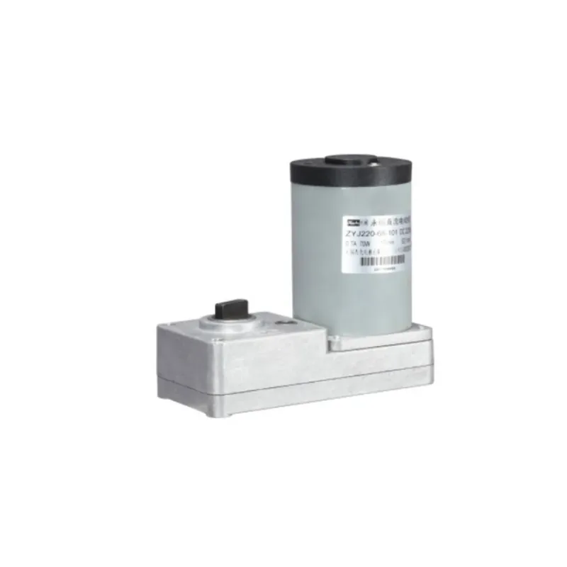 66ZY-CJ02 permanent magnet DC motor